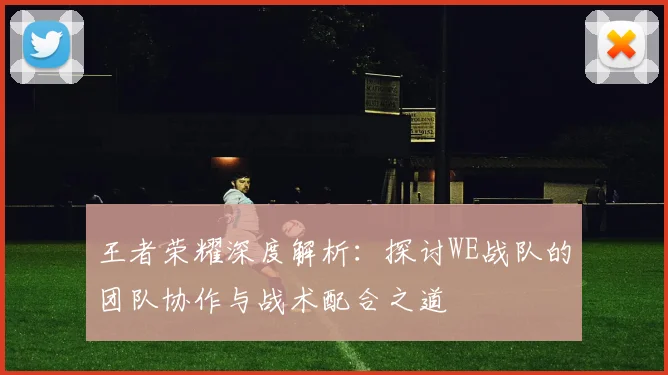 王者荣耀深度解析：探讨WE战队的团队协作与战术配合之道