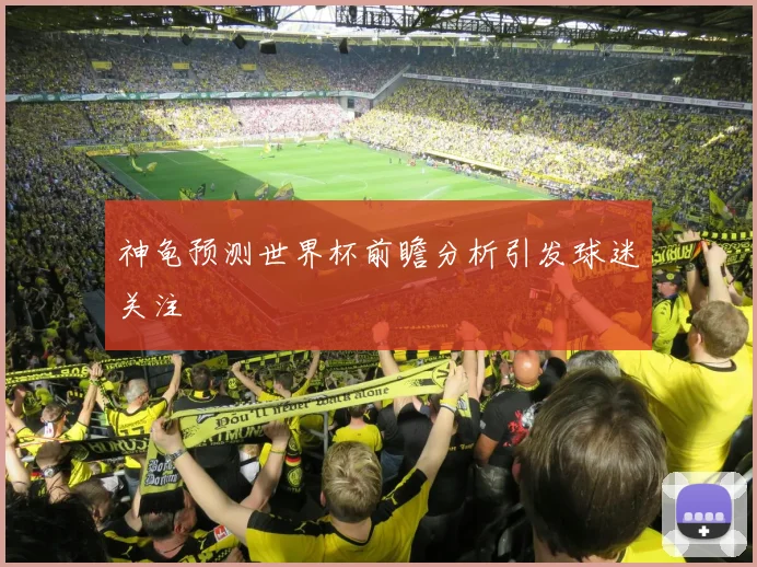 神龟预测世界杯前瞻分析引发球迷关注