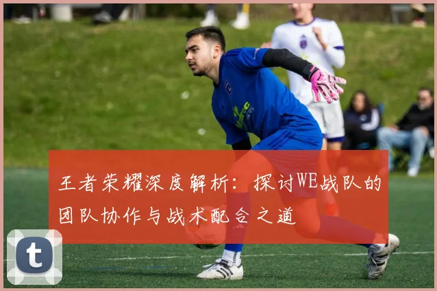 王者荣耀深度解析：探讨WE战队的团队协作与战术配合之道
