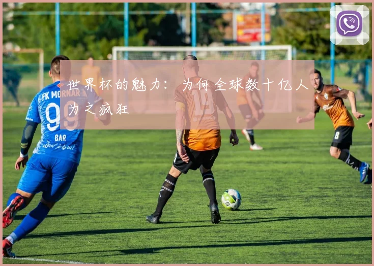 世界杯的魅力:为何全球数十亿人为之疯狂