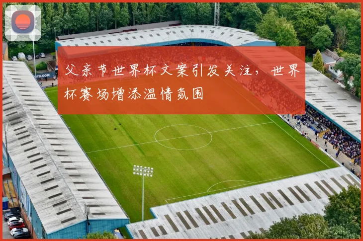 父亲节世界杯文案引发关注,世界杯赛场增添温情氛围