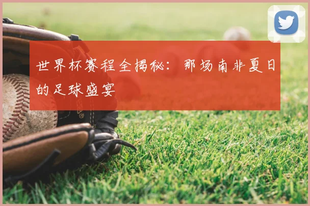 世界杯赛程全揭秘：那场南非夏日的足球盛宴