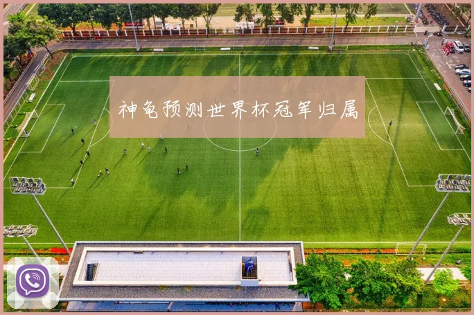神龟预测世界杯冠军归属