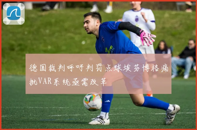 德国裁判呼吁判罚点球埃芬博格痛批VAR系统亟需改革