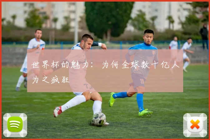 世界杯的魅力:为何全球数十亿人为之疯狂