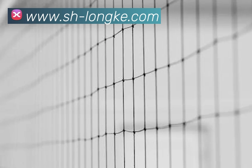 星空体育全站App